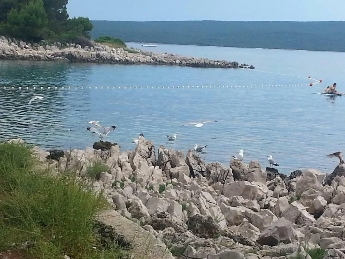 Apartmán Galboka Nine Nerezine